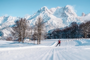 Landscape © saalfelden-leogang.com/Michael Geißler